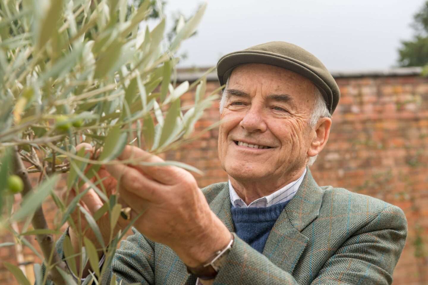 Luxury Care Homes Sanders Senior Living