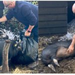 Beauleigh Green Initiative