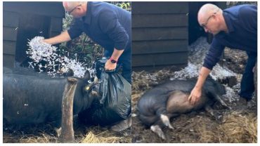 Beauleigh Green Initiative