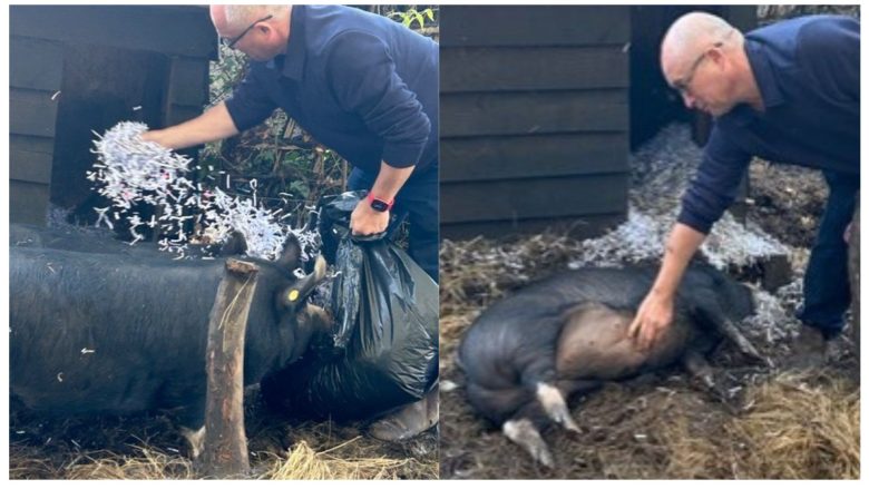 Beauleigh Court Launches New ‘Green Initiative’ to Support Sustainable Living 1 Beauleigh Green Initiative