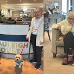 Press release images collage templates 2026 02 23T122305.778