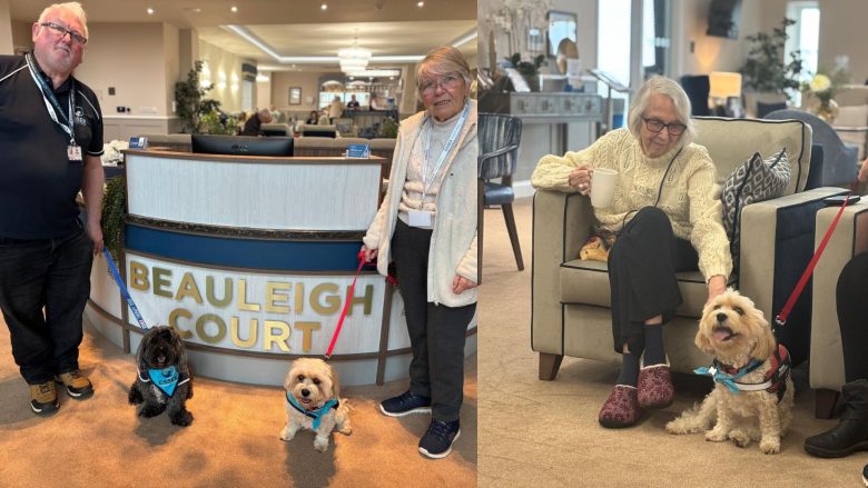 Press release images collage templates 2026 02 23T122305.778